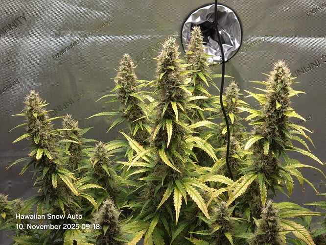 Growreport Bild 1