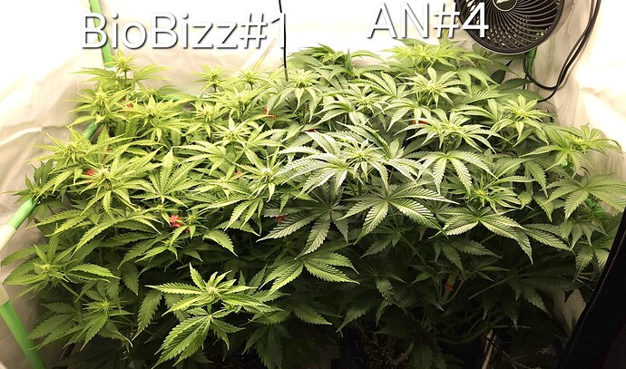 Growreport Bild 22