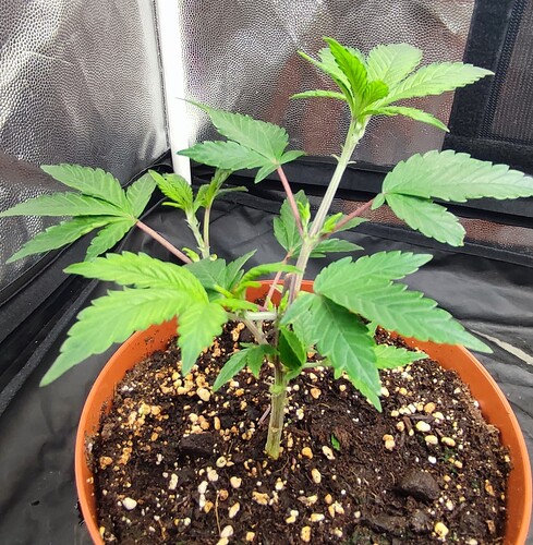 Growreport Bild 18