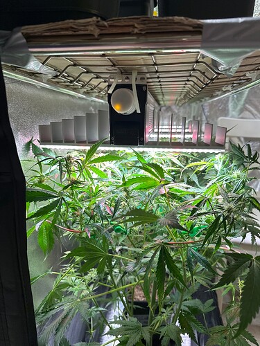 Growreport Bild 28