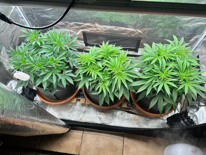 Growreport Bild 15