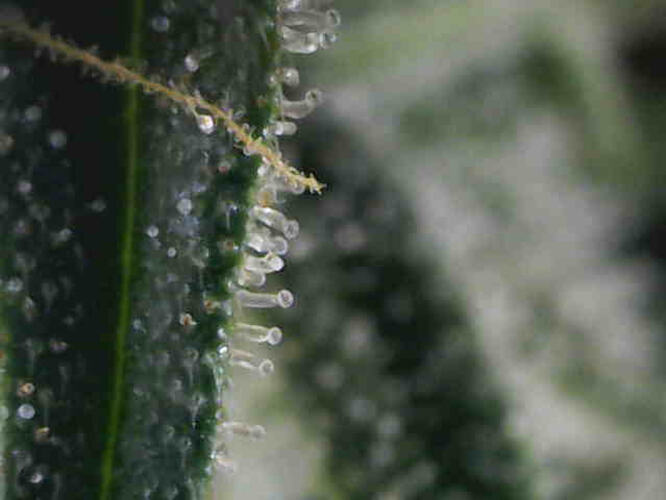 Photo_2026-03-04 16_37_05_394