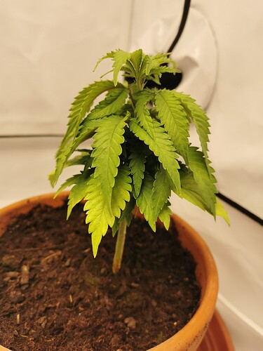Growreport Bild 13