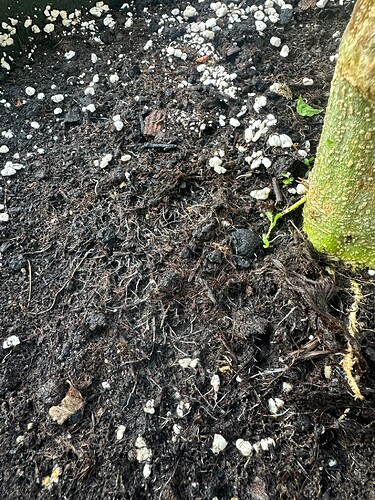 Growreport Bild 9