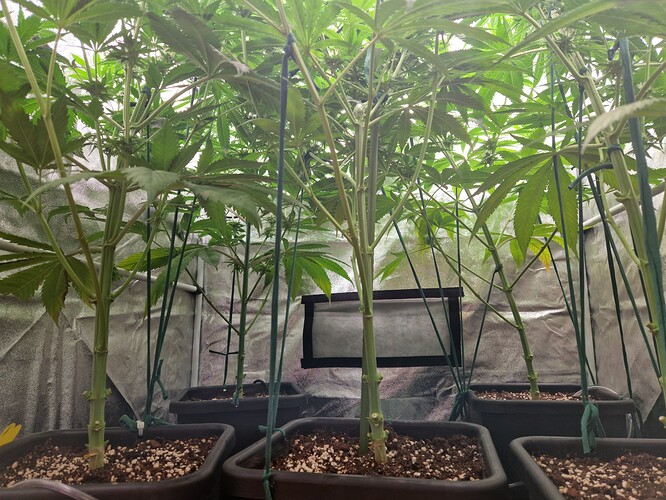 Growreport Bild 1
