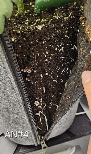 Growreport Bild 35