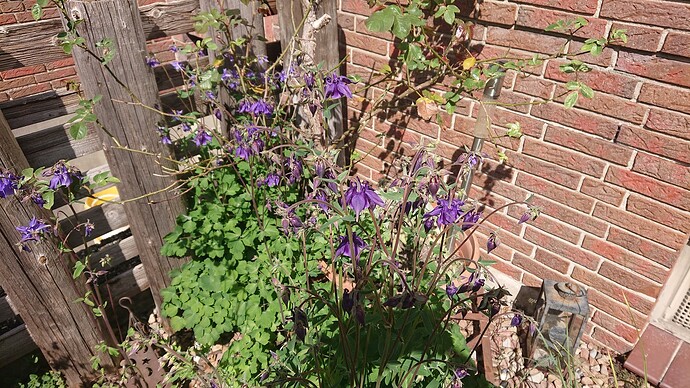 Growreport Bild 32