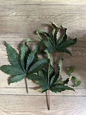 Growreport Bild 14