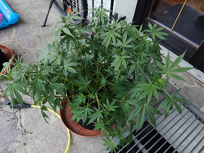 Growreport Bild 12