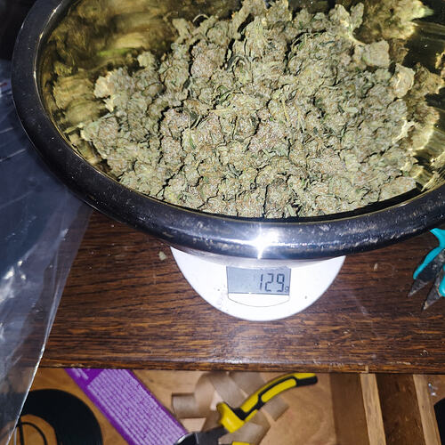 Growreport Bild 5