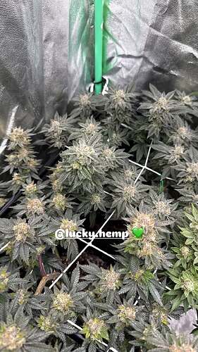 626280894_18051923069695349_1663136538918355297_n