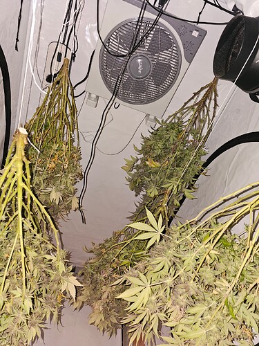 Growreport Bild 1