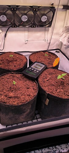 Growreport Bild 1