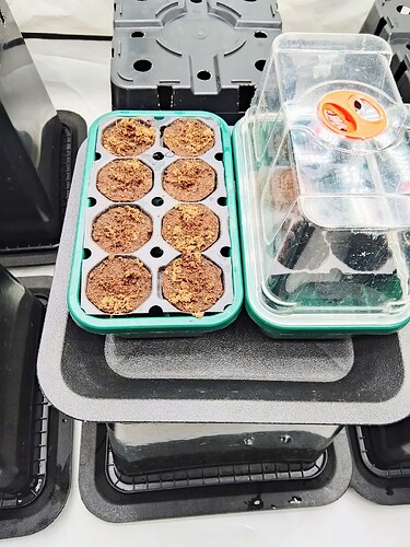 IMG_20250907_130305_HDR