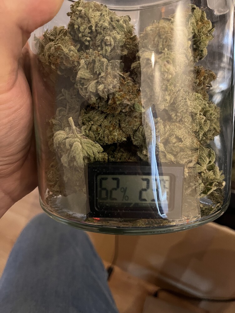 Das aller erste Mal -> White Widow