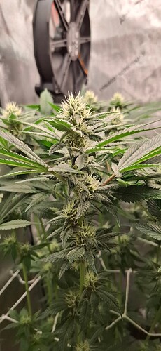 Growreport Bild 9