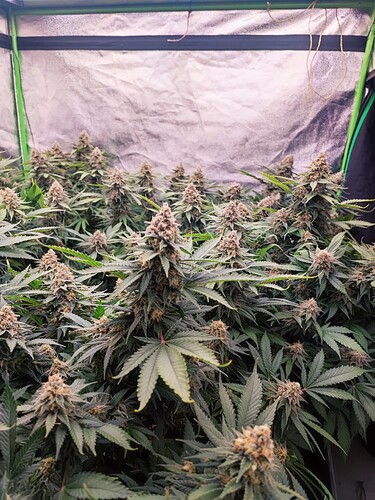 Growreport Bild 10