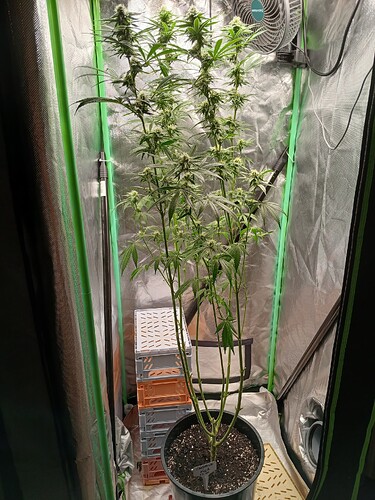Growreport Bild 9