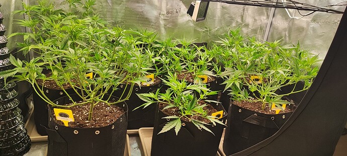 Growreport Bild 13
