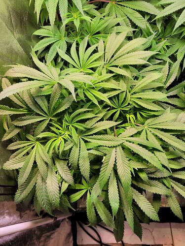 Growreport Bild 8