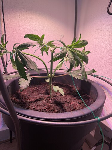 Growreport Bild 13