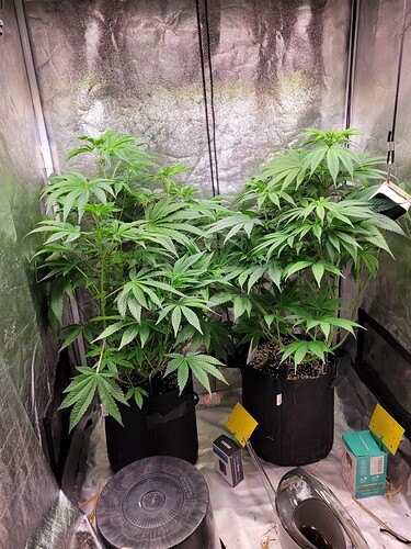 Growreport Bild 4