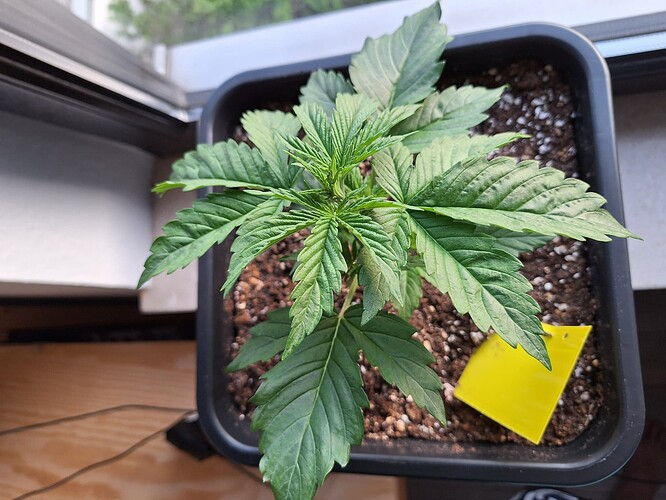 Growreport Bild 6