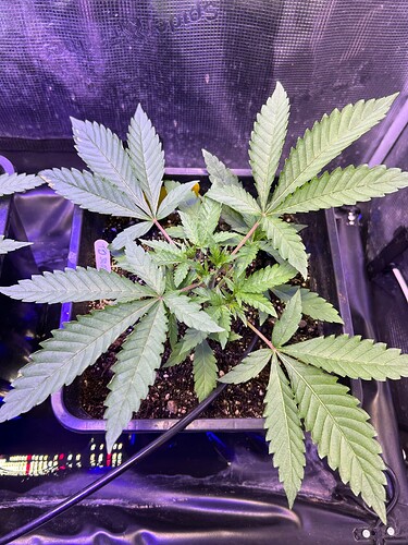 Growreport Bild 21