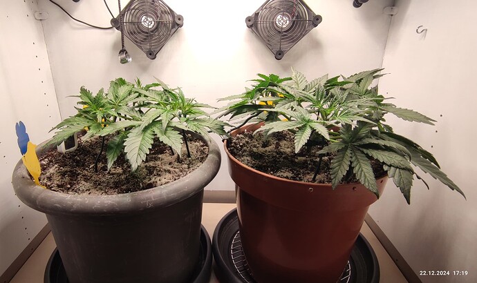 Growreport Bild 5