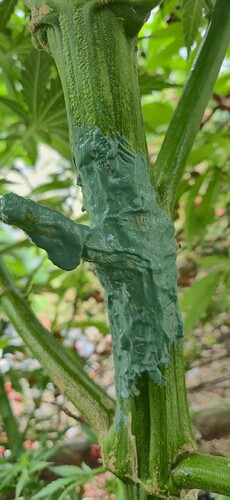 Growreport Bild 18