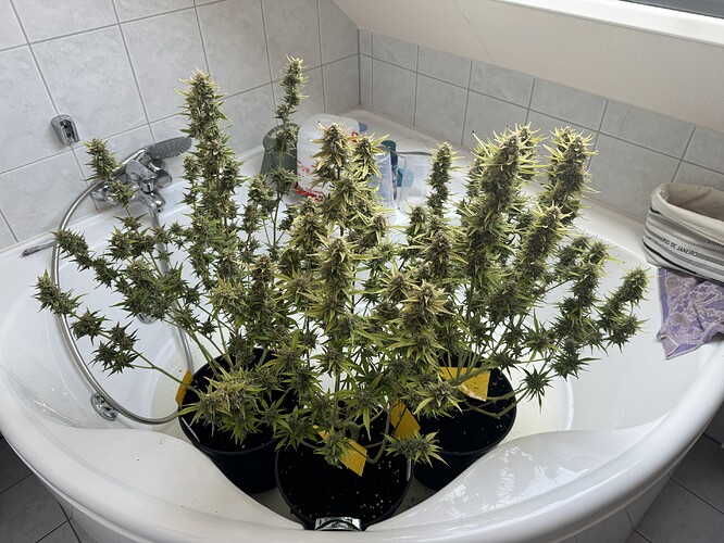 Growreport Bild 2
