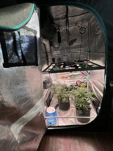 Growreport Bild 11