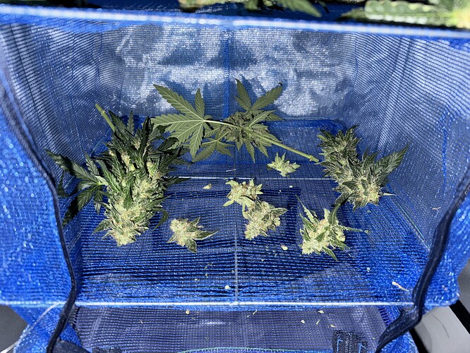Growreport Bild 5