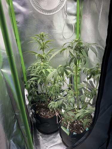 Growreport Bild 20