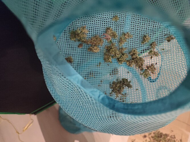 Growreport Bild 10