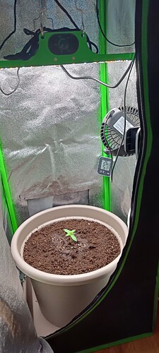 Growreport Bild 2