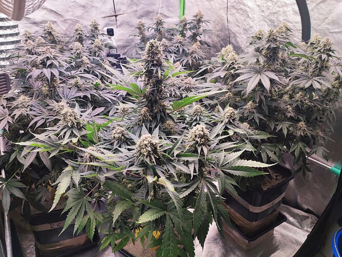 Growreport Bild 18