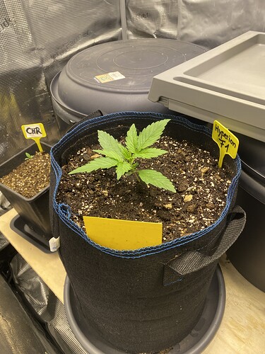 Growreport Bild 22