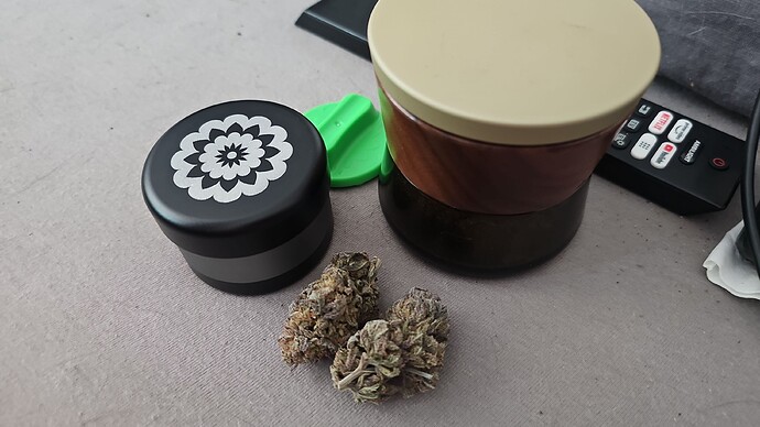 Growreport Bild 54