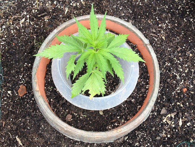 Growreport Bild 13