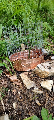 17179286833718775223115458386069