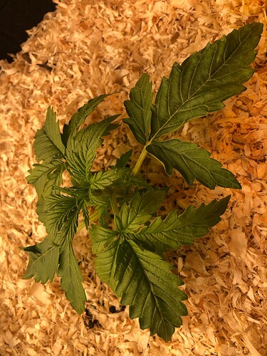 Growreport Bild 12