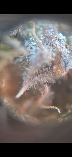 Growreport Bild 4