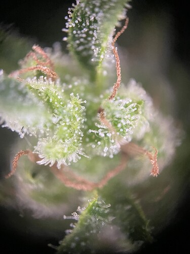 Growreport Bild 24