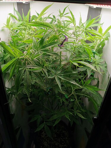 Growreport Bild 14