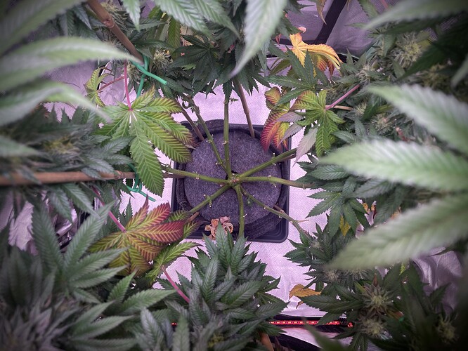 Growreport Bild 12