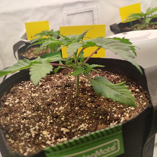 Growreport Bild 11