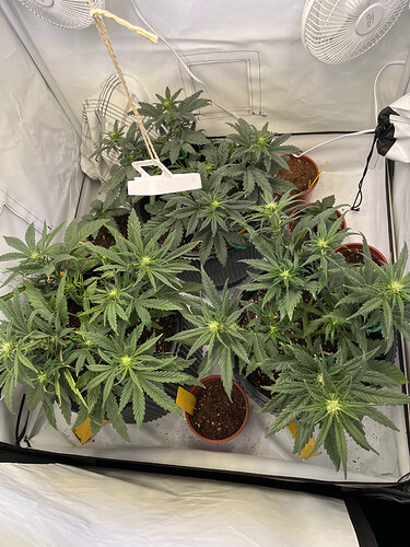 Growreport Bild 8