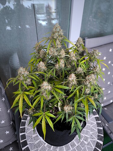 Growreport Bild 21