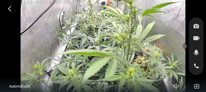 Screenshot_20260523_084506_Tapo